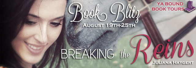 BtR book blitz banner