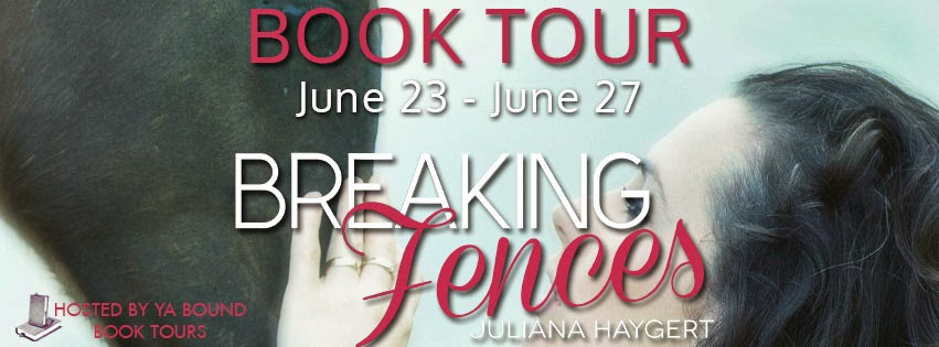 Breaking-the-Fences-tour banner2