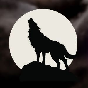 Wolf Shifter Book Fair Promo